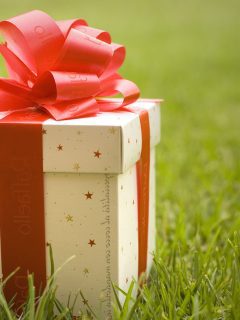 A watch-shaped gift box sitting in the grass.