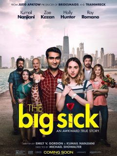 The Big Sick movie poster featuring St. Louis.
