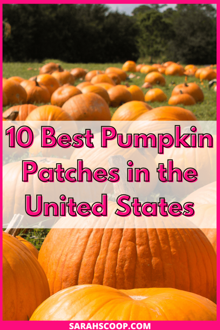 10 Best Pumpkin Patches in the United States