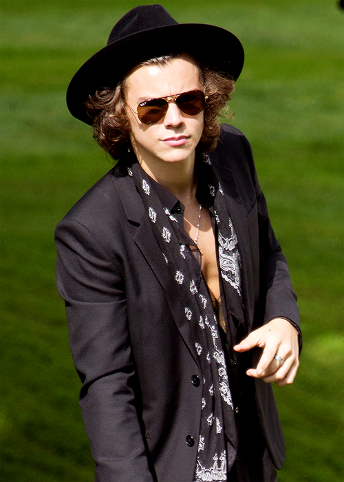 Harry Styles hats