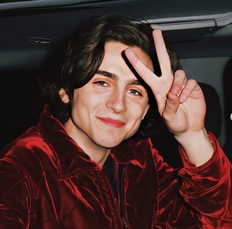 Best Timothée Chalamet Movies + Where To Watch Them