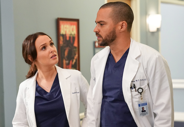 Medical drama TV show - Grey's Anatomy, season 6, episode 7.