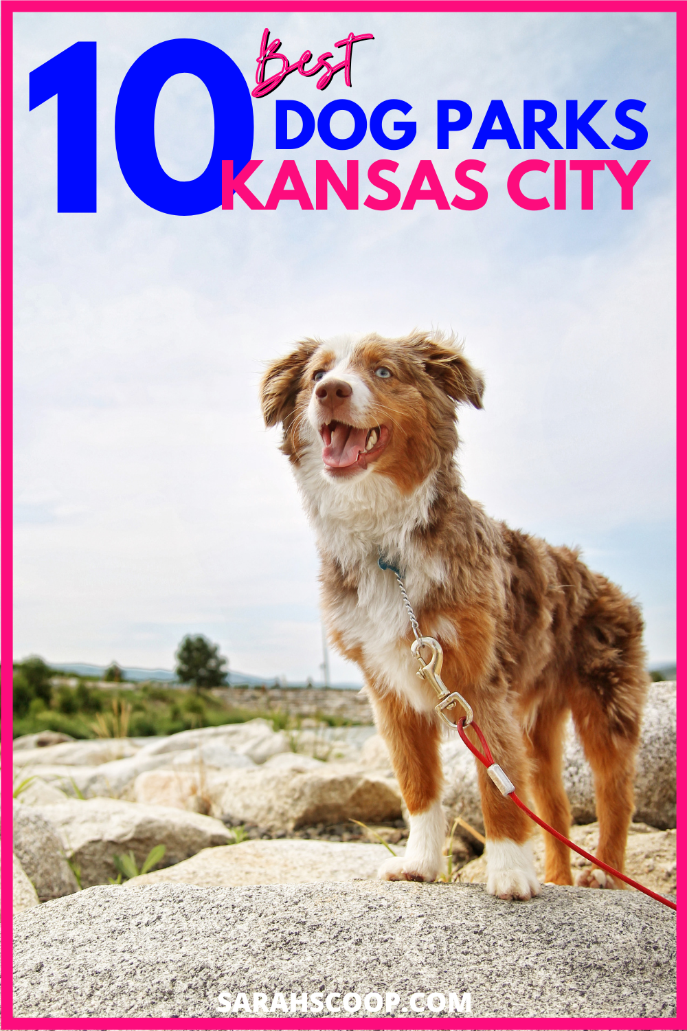 Top-rated dog parks in Kansas City.