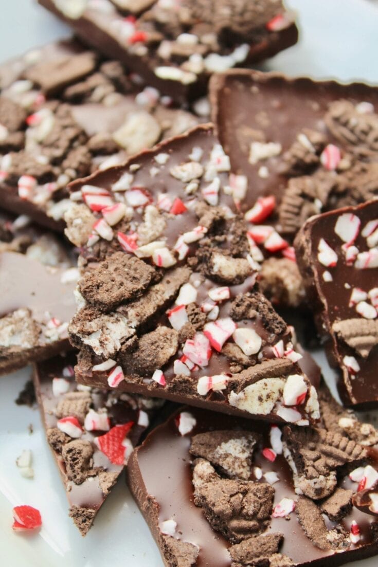 Plate with chocolate and peppermint bark.