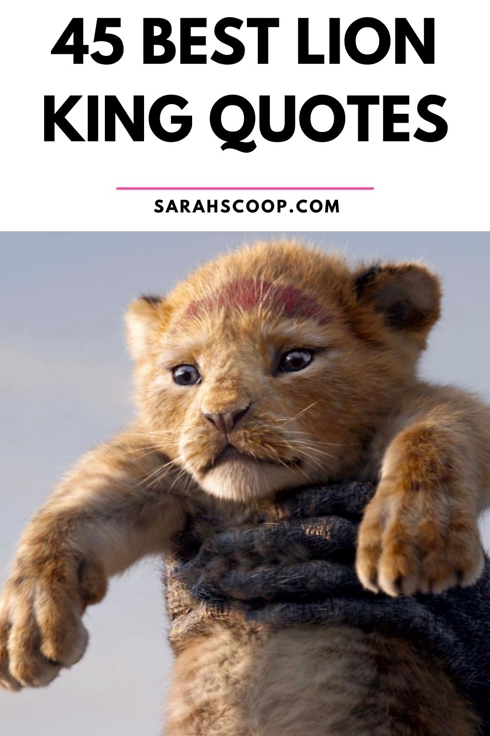 45 Best Lion King Quotes - Sarah Scoop