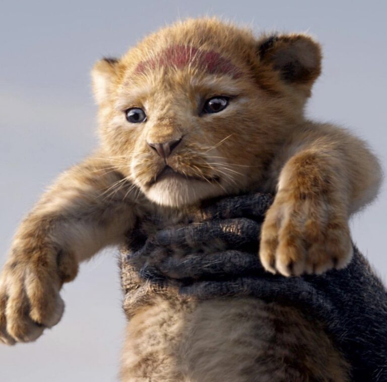 45 Best Lion King Quotes