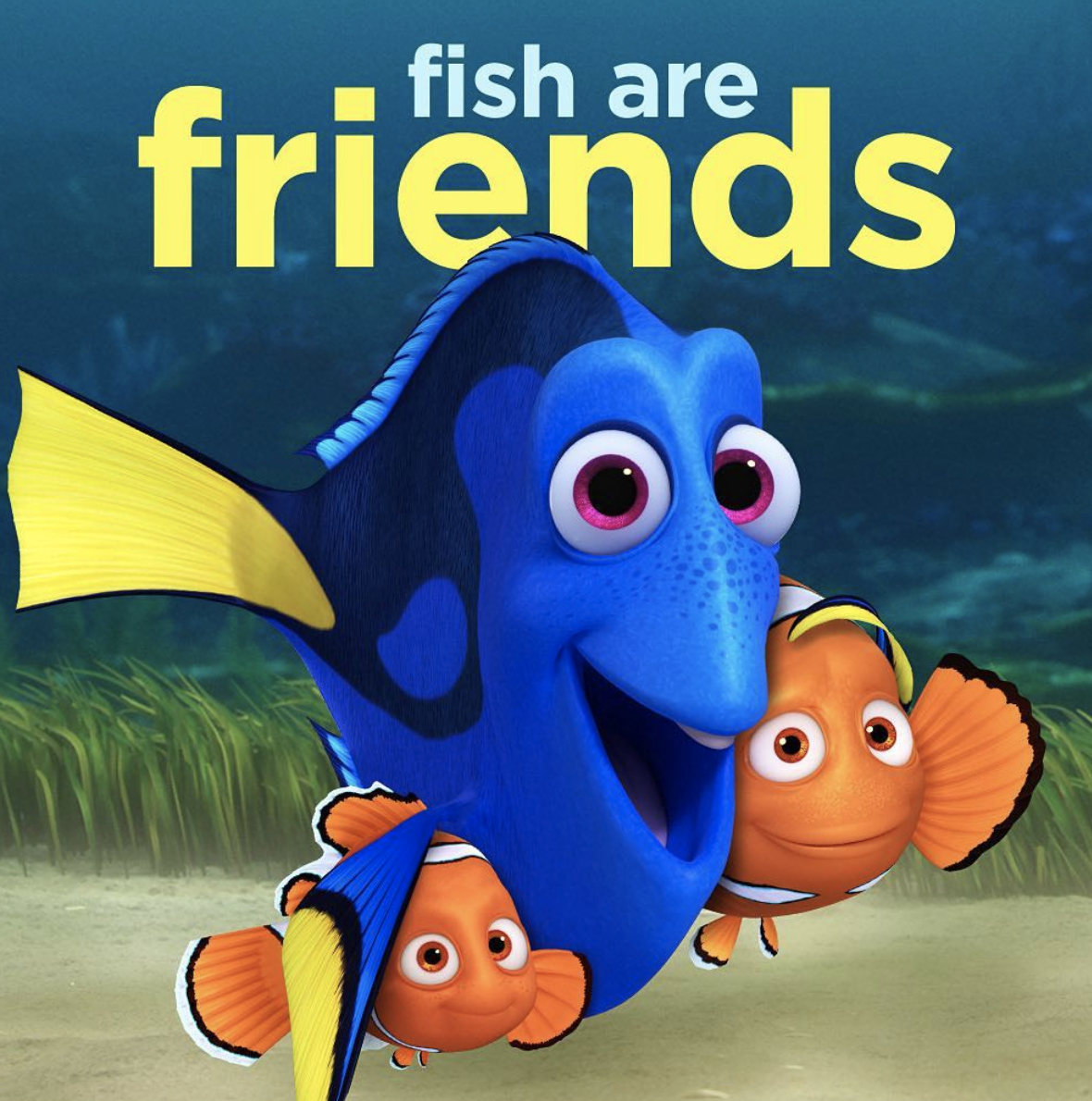 Finding nemo squirt quotes