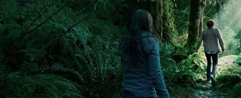 edward and bella in forest