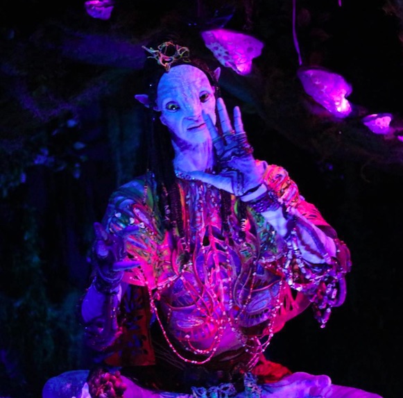 best things for adults to do at disney world, avatar