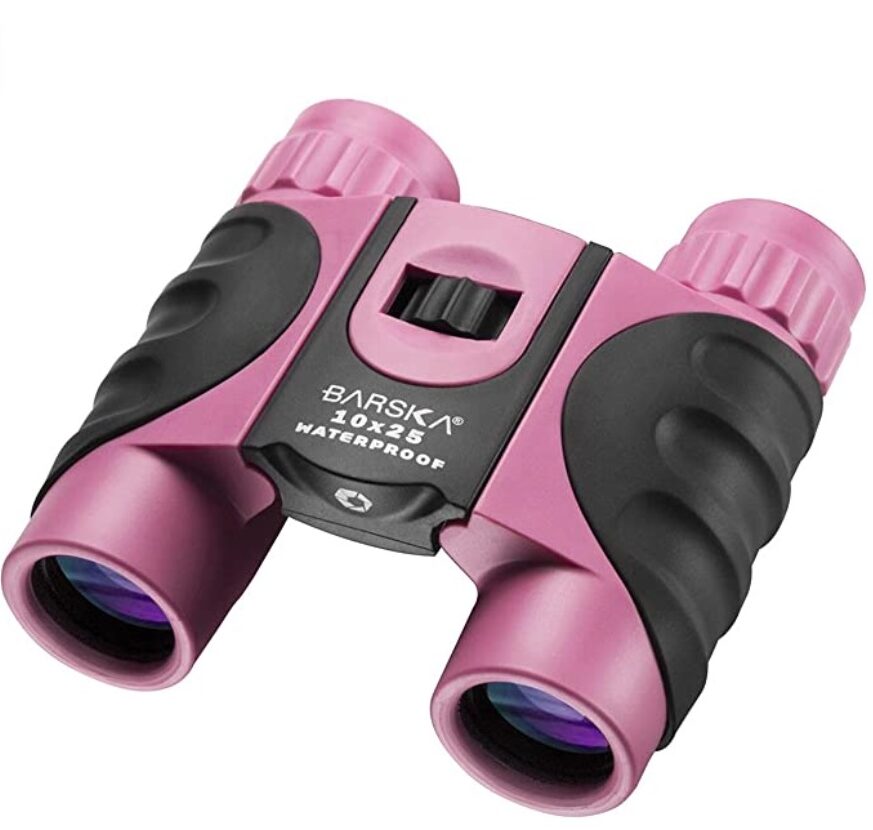 Pictured is pink binoculars. 