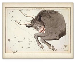 Antique Zodiac Taurus Constellation Plate