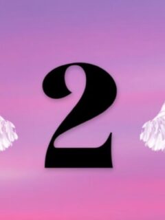 Two angel wings with the number 2 representing the biblical meaning of the number on a pink background.