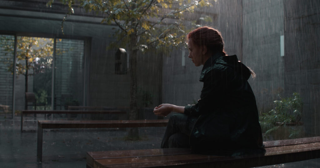 Scarlett Johansson in Avengers: Endgame (2019)
