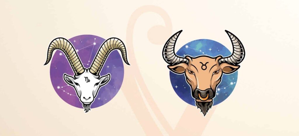 friendship between a Capricorn and Taurus