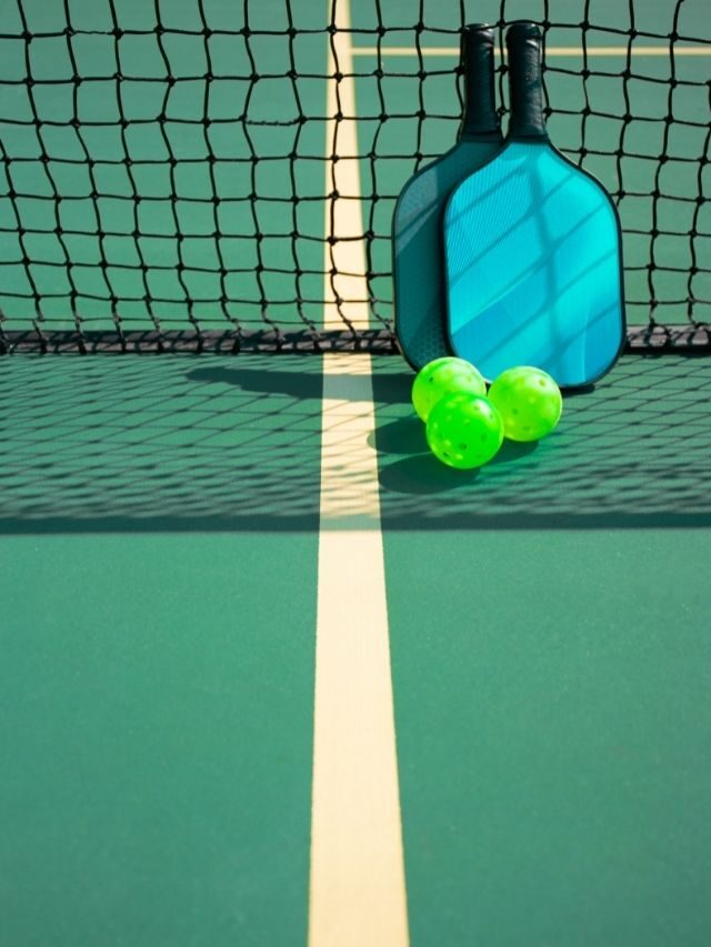 The Top 10 Best Pickleball Paddles For Beginners