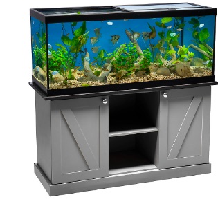 home aquarium