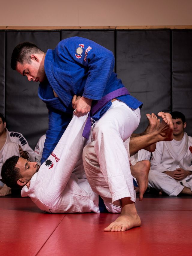 Brazilian Jiu Jitsu VERUS Belts 