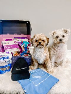 Two dogs sitting on a fur rug with a box of dog food, showcasing the latest pet products for the summer season from Summer Winds Pet Products.