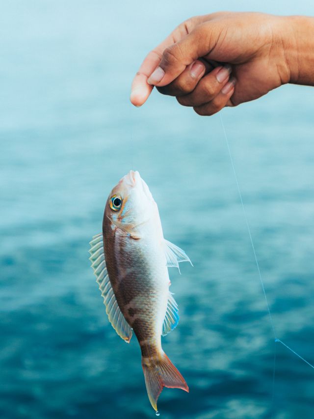 best fishing quotes for instagram