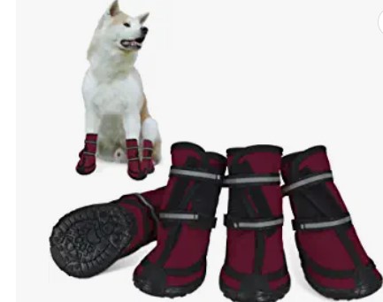 dociote water shoes for dogs