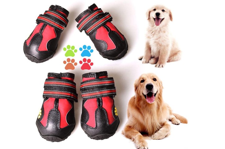 covertsafe water shoes for dogs