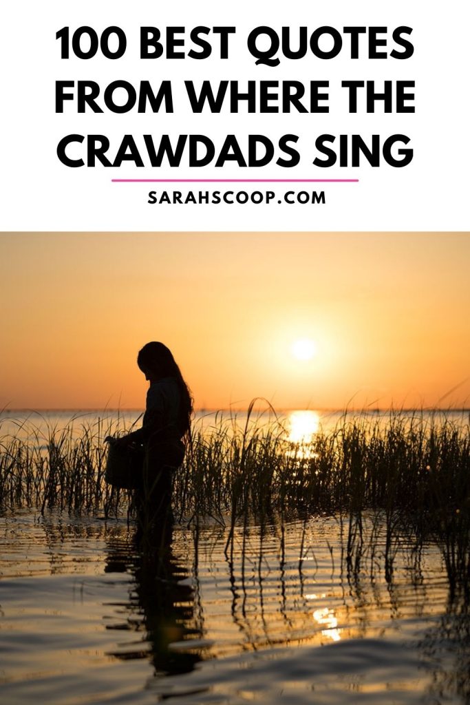 where the crawdads sing quotes