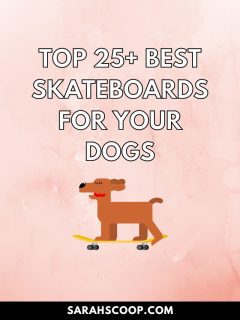 Explore the top 25 best skateboards for dogs, ideal for dog pulling and exceptional performance.
