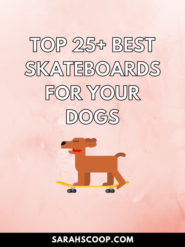 Best skateboard for dogs