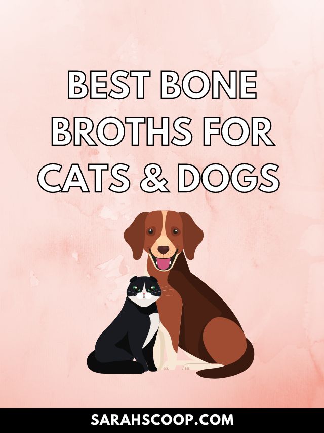 best broth for cats and dogs