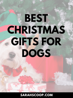 Looking for the best Christmas presents for dogs? Look no further! We've curated a selection of the top dog presents that are sure to make tails wag this holiday season.