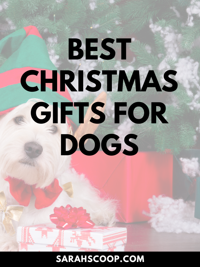 These are the best Christmas presents for dogs! 