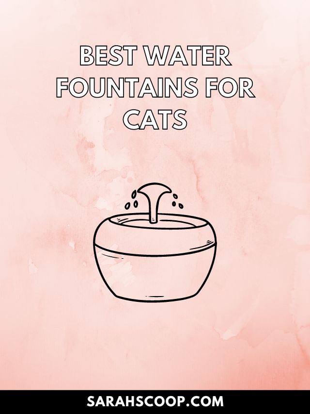 best water fountain for cats