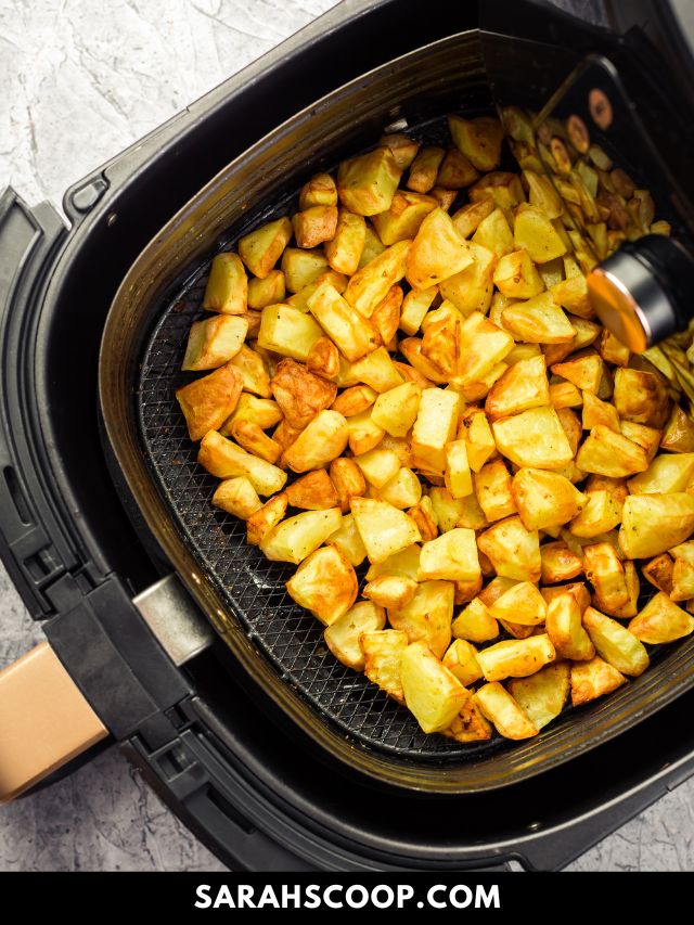 PowerXL Air Fryer Grill Review