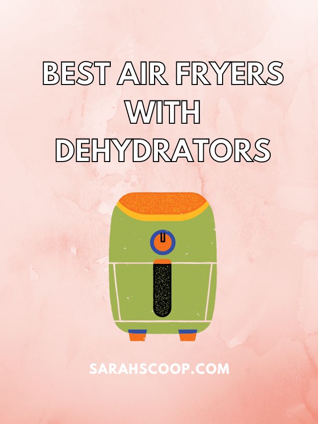 best air fryer with dehydrator