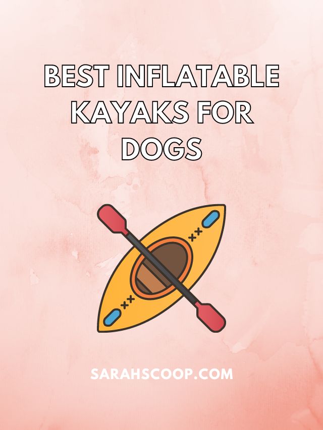 best inflatable kayak for dogs