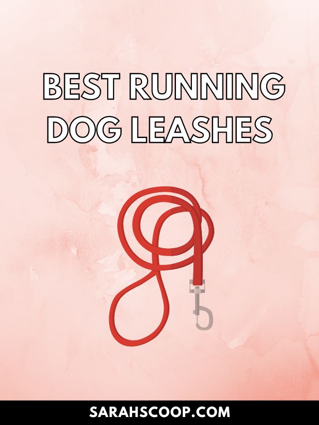 best running dog leash
