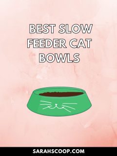 Looking for the absolute best slow feeder cat bowls? Look no further! Our slow feeder bowl for cats is the ultimate solution to prevent fast eating and promote healthier eating habits. With our carefully designed slow feed