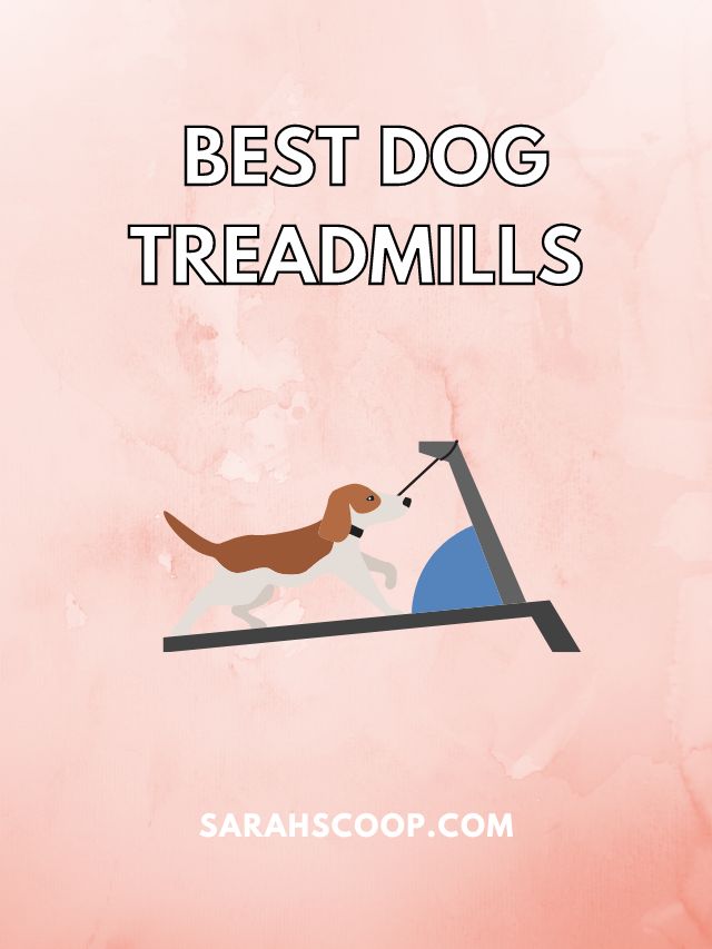 best treadmill for dogs