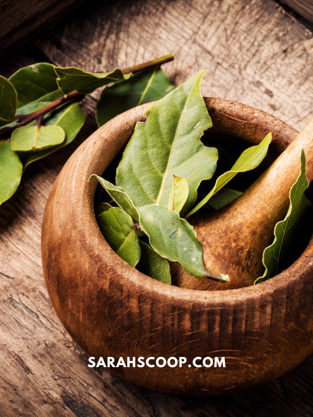 How to Use Bay Leaves For Manifestation