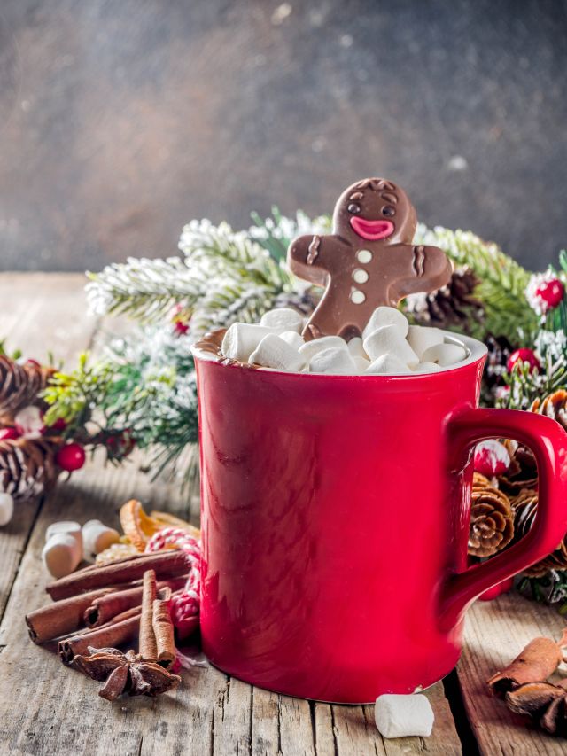 hot cocoa with gingerbread