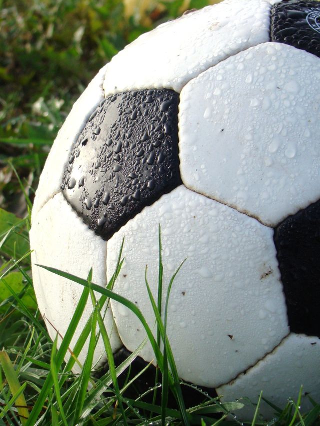 dew covered soccer ball