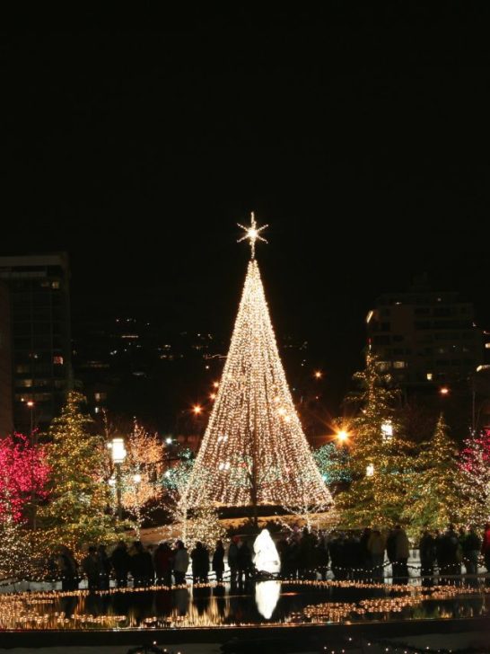 giant christmas tree with white lights