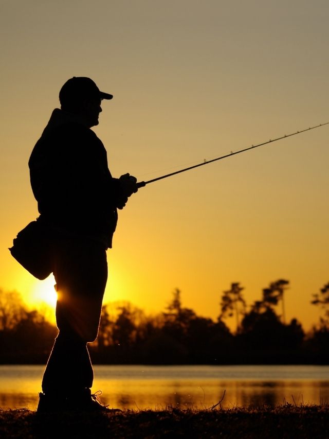 a fisherman in action at sunset, freshwater fishing