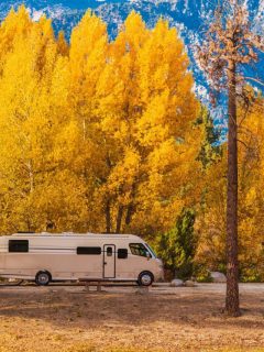 yellow fall foilage behind an rv with a mountain view