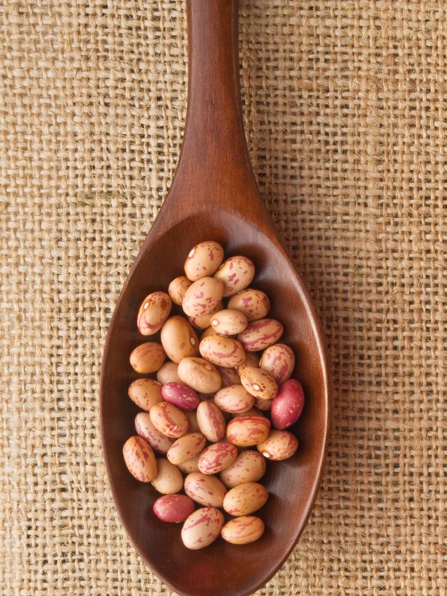 pinto beans on a wooden spoon