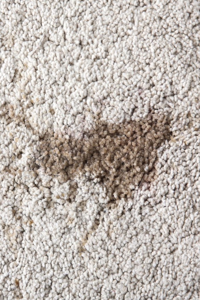old coffee stain on carpet