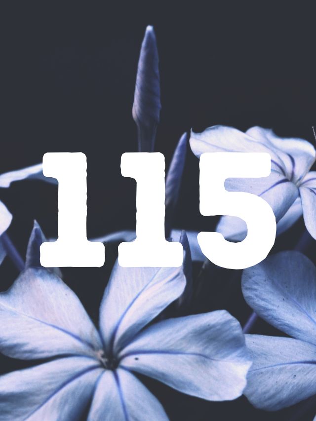 115 angel number meaning on flower background