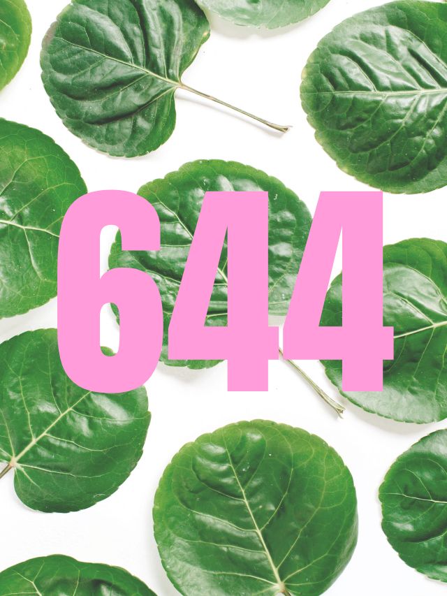 644 angel number on leafy background