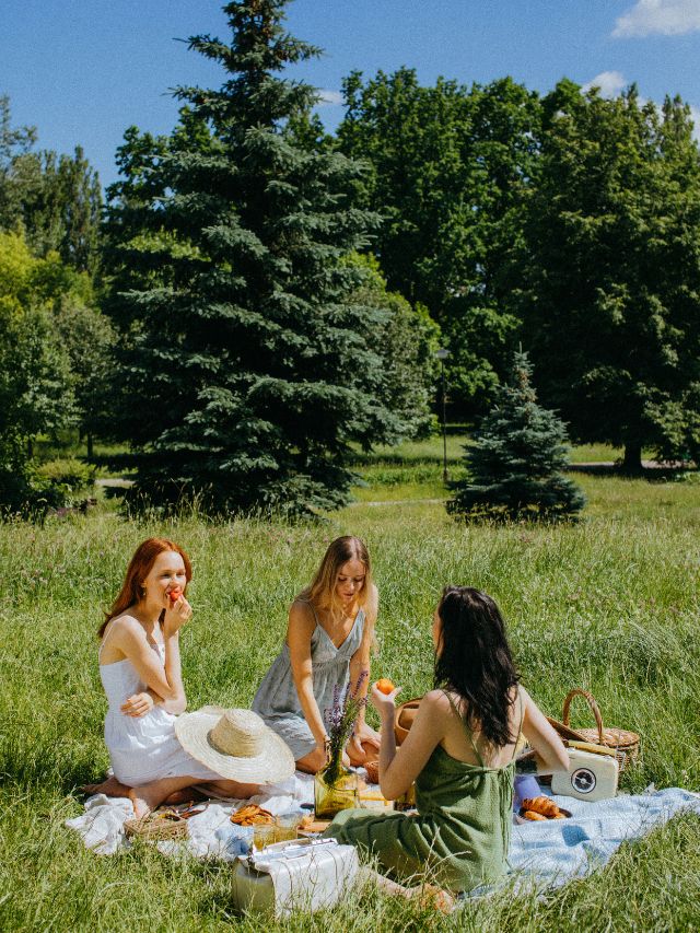 friends having picnic