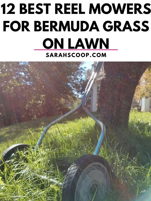 12 best reel mowers for bermuda grass on lawn